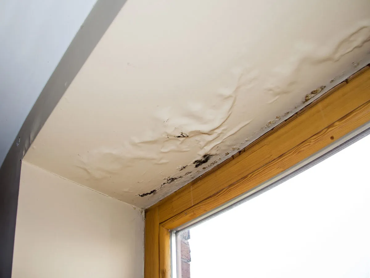 Humidity Damage Roof Repair — commercial roofing in Kansas City, MO